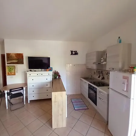 Sara's House